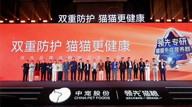 lewin乐玩官网-相信品牌力量